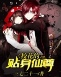 校花之贴身仙少
