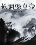 低调做皇帝