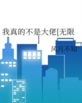 我真的不是大佬
