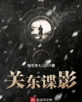 关东谍影免费阅读