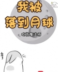 嫦娥二号落到月球了吗
