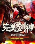 完美剑神机甲小说