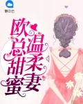欧总娇宠甜小妻