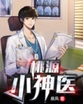 桃源小神医 小说