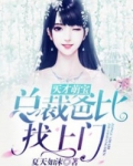 天才萌宝：总裁爸比找上门