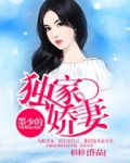 墨少的独家娇妻