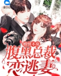 婚情不负腹黑总裁恋逃妻顾迟