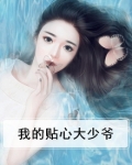 我的贴心大少爷