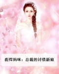 彪悍妈咪：总裁的讨债新娘