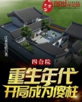 四合院：重生年代，开局成为傻柱