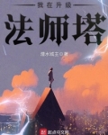 12级法师塔升级数据
