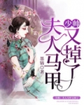 少帅:夫人马甲又掉了 墨锦