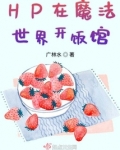 在魔法世界开创互联网 小说