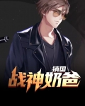 镇国战神奶爸 小说