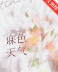百色天气讲的什么
