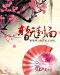 他往返于位面彼岸小说