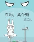 在吗,离个婚小说王三九