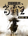 回到明末当霸王TT下载