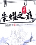 你我的荣耀之巅全文免费阅读