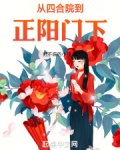 从四合院到正阳门下小说下载