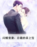 闪婚宠妻：总裁的掌上宝