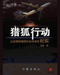猎狐行动什么时候上映