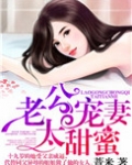 老公宠妻太甜蜜小说全文免费阅读