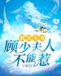 独家专宠：顾少夫人不能惹