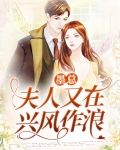 墨总宠妻,夫人又爆马甲了