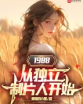 1988从独立制片人开始的小说