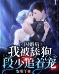 闪婚后,我被舔狗段少追着宠