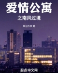 爱情公寓之南风过境起点中文网