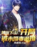 神医下山娶妻