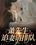 萧先生宠妻手册乐文下载