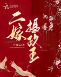 二嫁王妃免费阅读全文