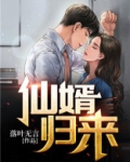 仙婿归来免费阅读