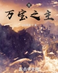 我,万宝之主