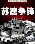 苏德二战战役