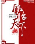 凤临天下坐拥八夫全文免费阅读