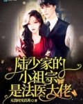 陆少家的小祖宗是法医大佬