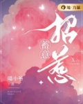他的蓄意招惹
