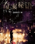 奇案探秘 小说