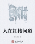 人在红楼问道的小说