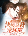 狼性总裁快滚开免费阅读