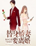 替身娇妻要离婚免费全文
