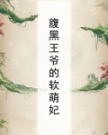 腹黑王爷的王妃