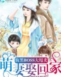 腹黑boss抢萌妻免费阅读