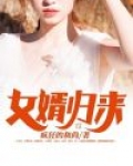 女婿归来