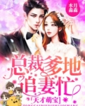 天才萌宝：总裁爹地追妻忙