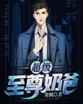 神级兵王奶爸 小说